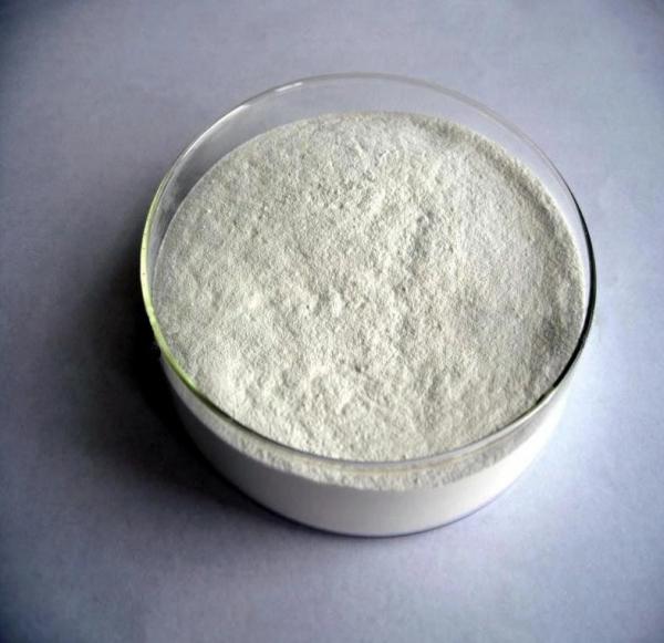 微晶纤维素200（microcrystalline cellulose PH200）